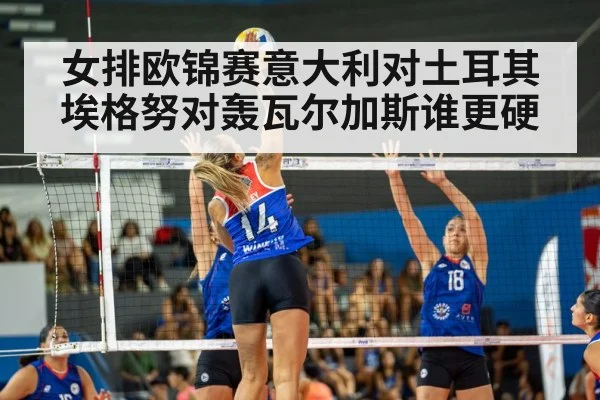 女排欧锦赛意大利对土耳其 埃格努对轰瓦尔加斯谁更硬 | KAIYUN
